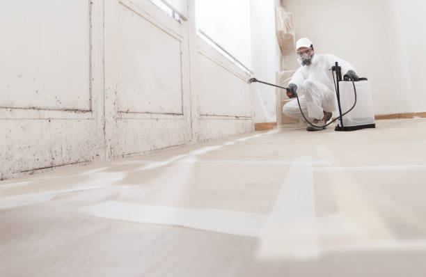 24/7 Emergency Mold Testing experts in Rutherford, PA